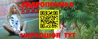 PSILOCYBIN Новозыбков