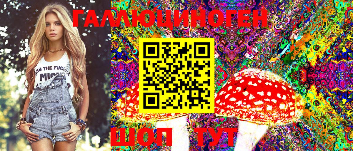 Асбест  Псилоцибиновые грибы GOLDEN TEACHER  купить  сайты  Вход с VPN 